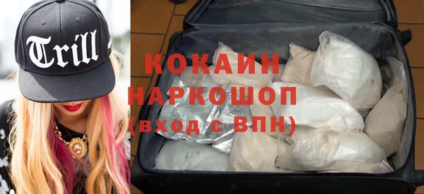 гидра Богородицк