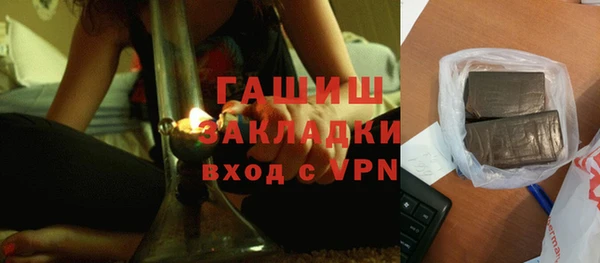 гидра Богородицк