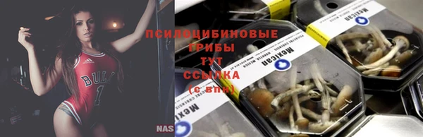 гидра Богородицк