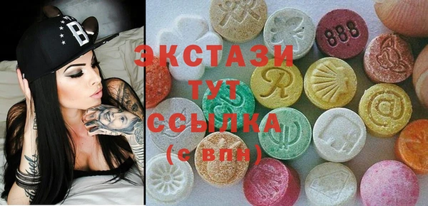 гидра Богородицк