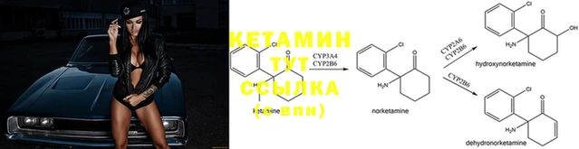 гидра Богородицк