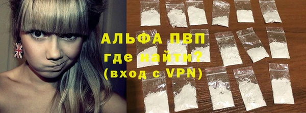 гидра Богородицк