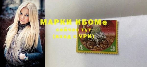 гидра Богородицк